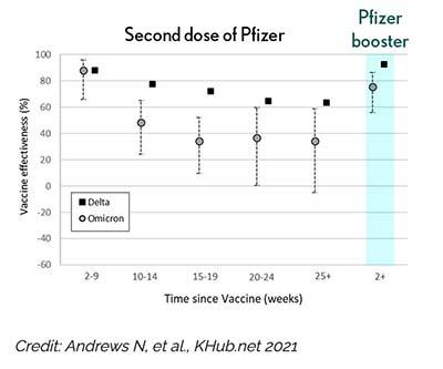 omicron variant of covid demographics of those hospitalized covid infections new cases hospitalizations nyc nys