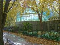 brooklyn botanic garden photo brooklyn things to do this weekend in prospect park bk nyc