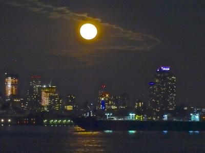 brooklyn things to do brooklyn this weekend brooklyn nyc