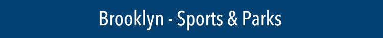 nyc healthcare ecology parks sports new york city social issues nyc