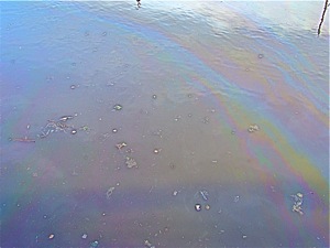 newtown creek clean up pollution